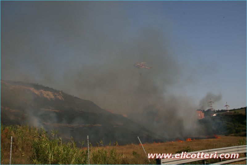 elifoto (179)